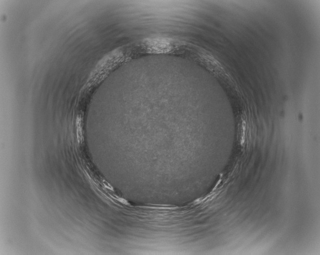 X0000054370598200507291049