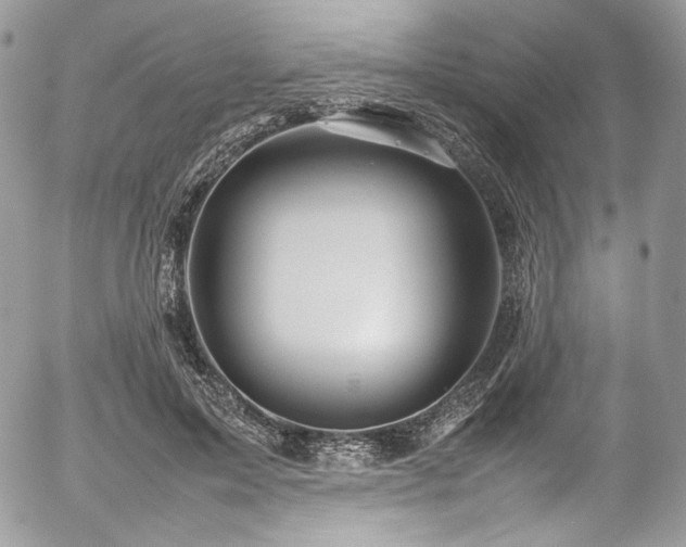 X0000054370599200507291049