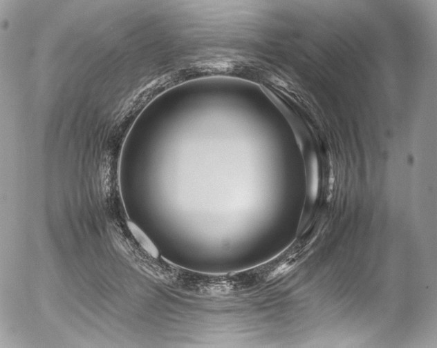 X0000054370600200507291049