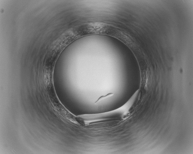 X0000054370602200507291049