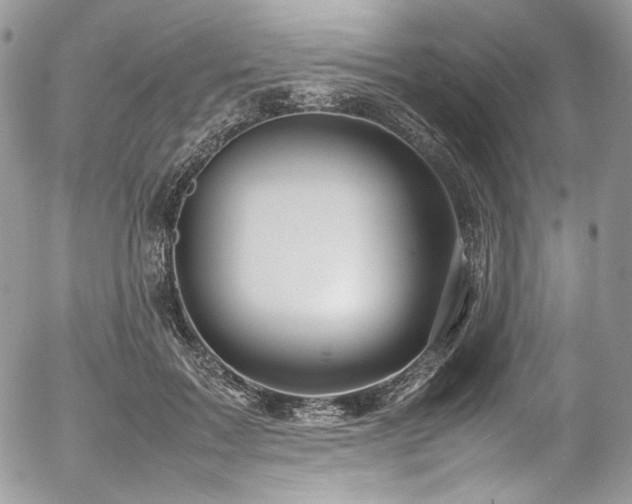 X0000054370603200507291049