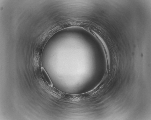 X0000054370604200507291048