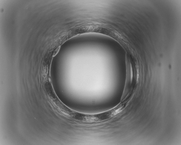 X0000054370605200507291048