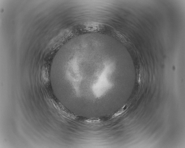 X0000054370606200507291048