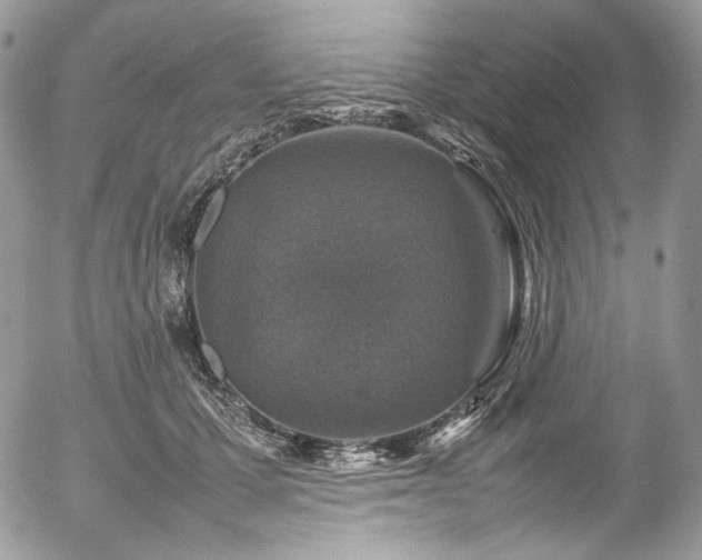 X0000054370607200507291048