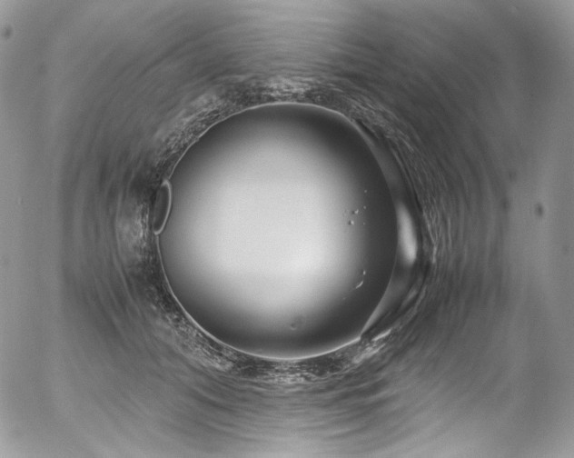 X0000054370608200507291048