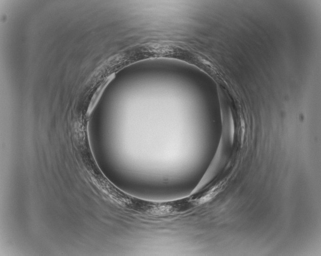 X0000054370609200507291048