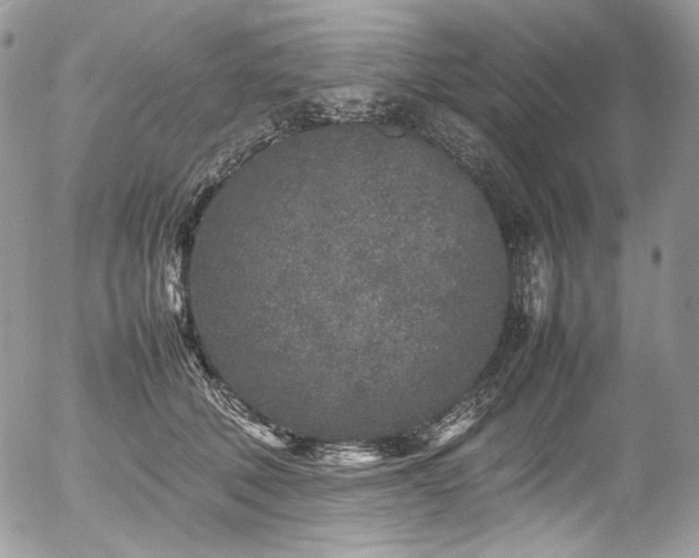 X0000054370610200507291048