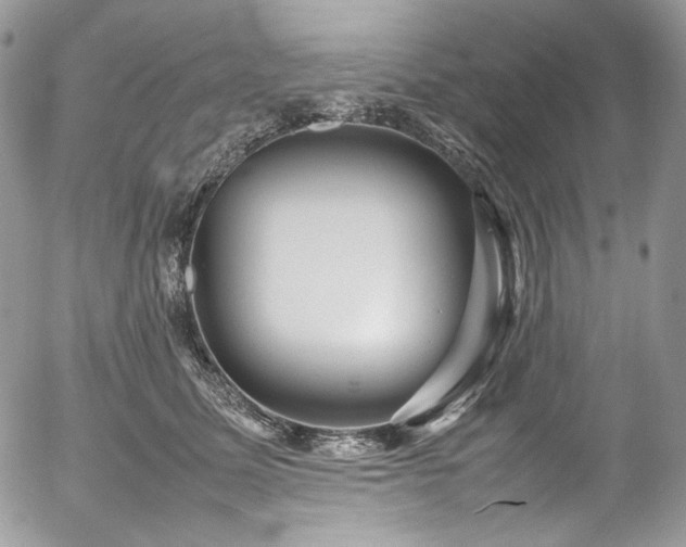 X0000054370611200507291048