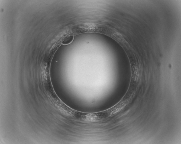 X0000054370612200507291048