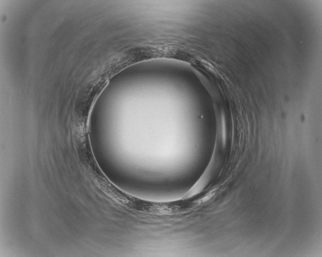 X0000054370613200507291048