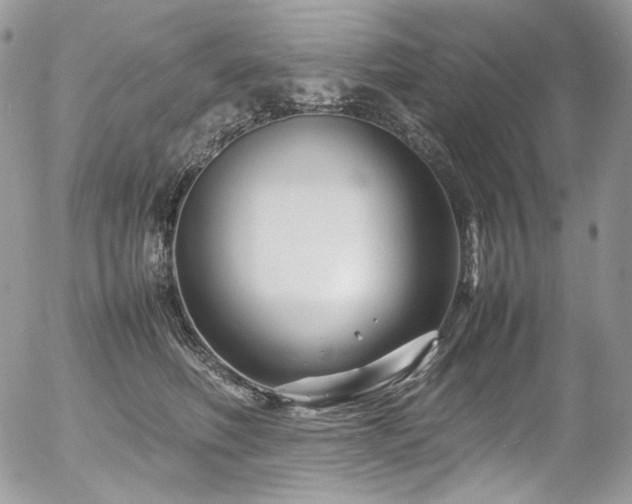 X0000054370614200507291048