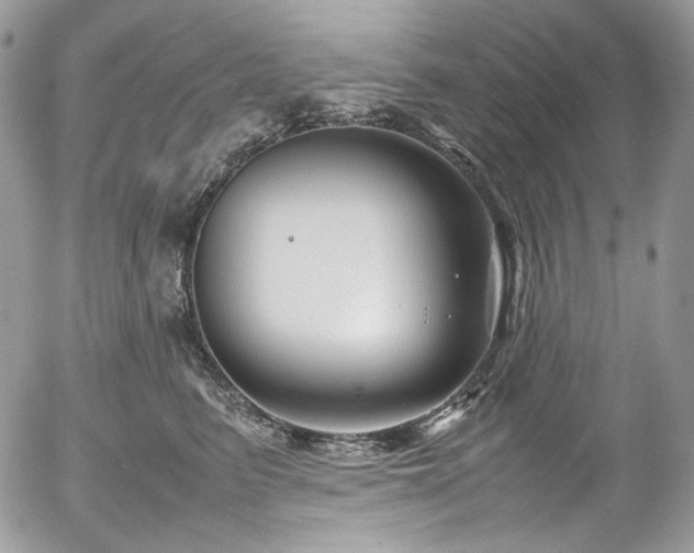 X0000054370615200507291048