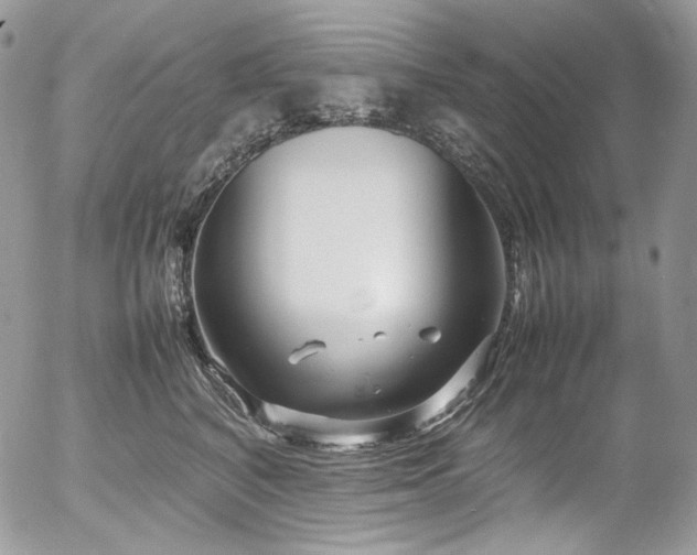 X0000054370616200507291048