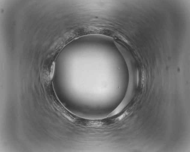 X0000054370617200507291048