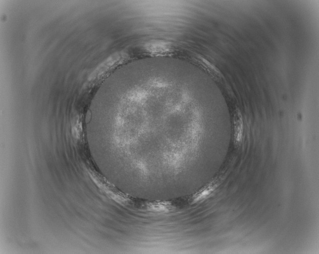 X0000054370618200507291048