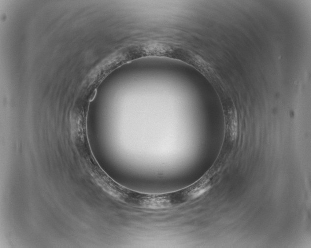 X0000054370619200507291048