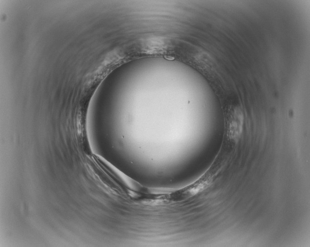 X0000054370620200507291048