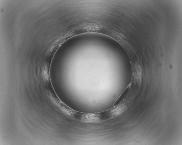 X0000054370622200507291048