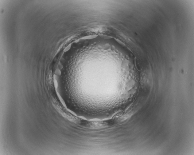 X0000054370623200507291048