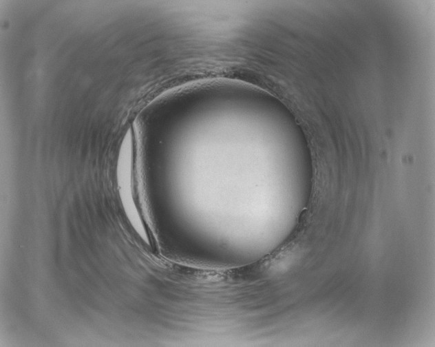 X0000054370624200507291048