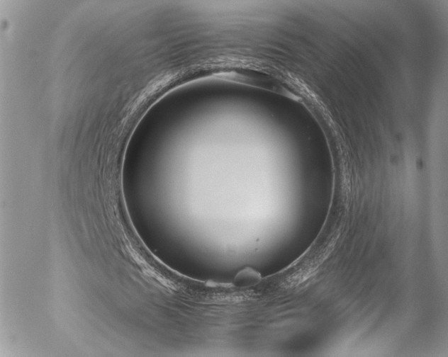 X0000054370625200507291047