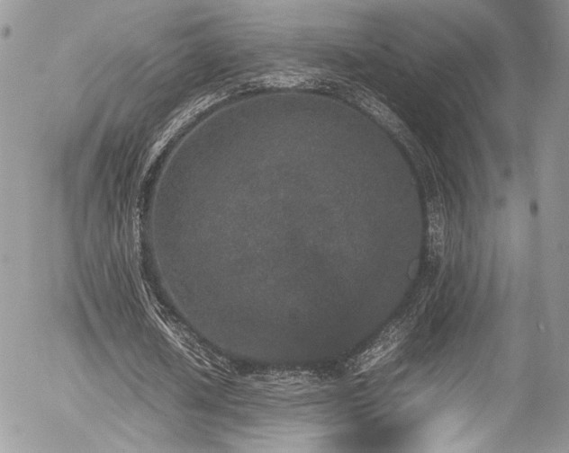 X0000054370626200507291047