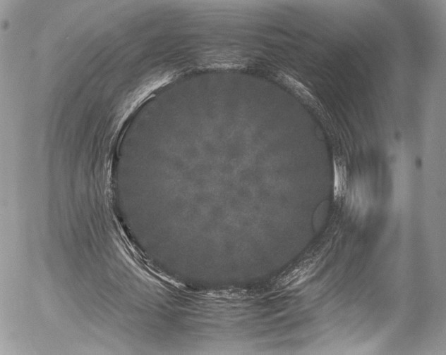 X0000054370627200507291047