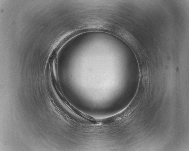 X0000054370628200507291047