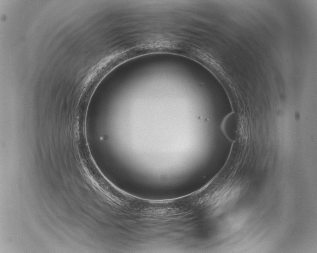 X0000054370629200507291047