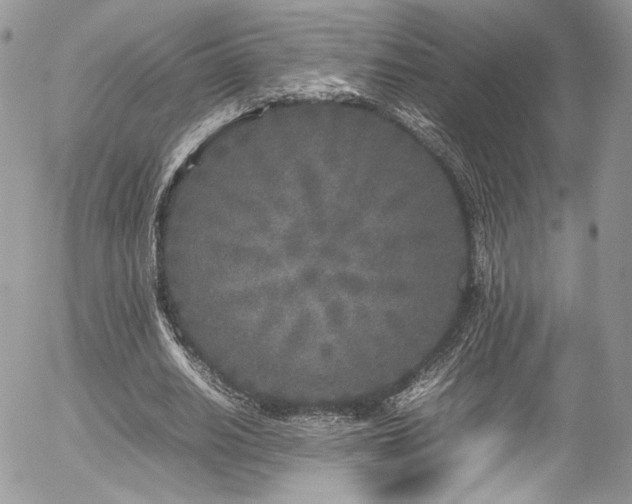 X0000054370630200507291047