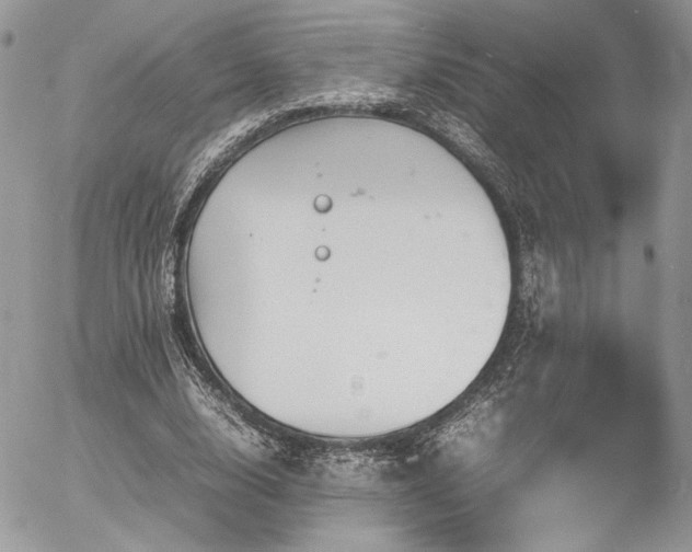 X0000054370632200507291047