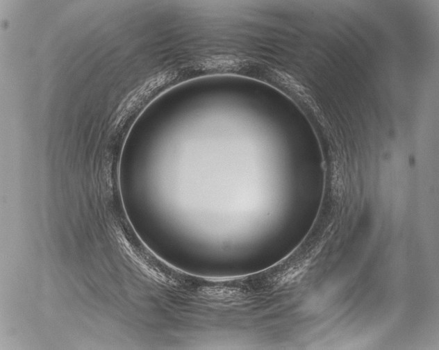 X0000054370633200507291048