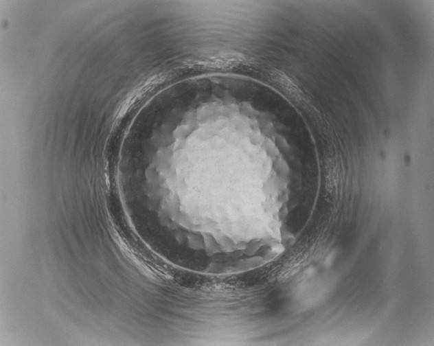 X0000054370634200507291048