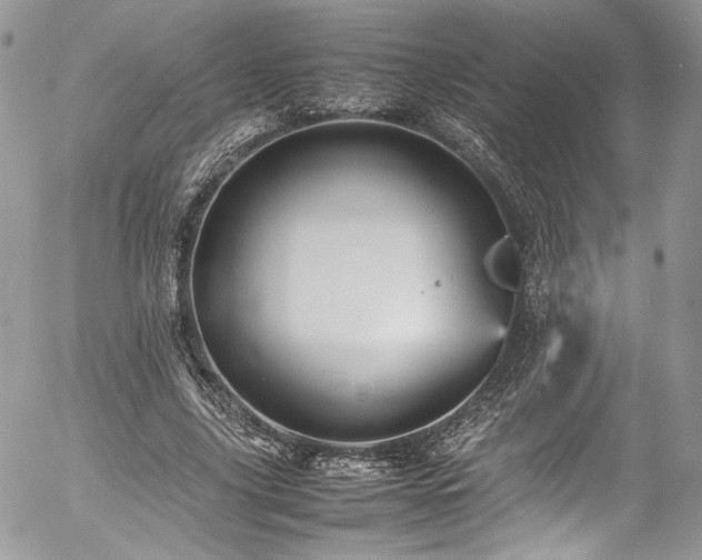 X0000054370635200507291048