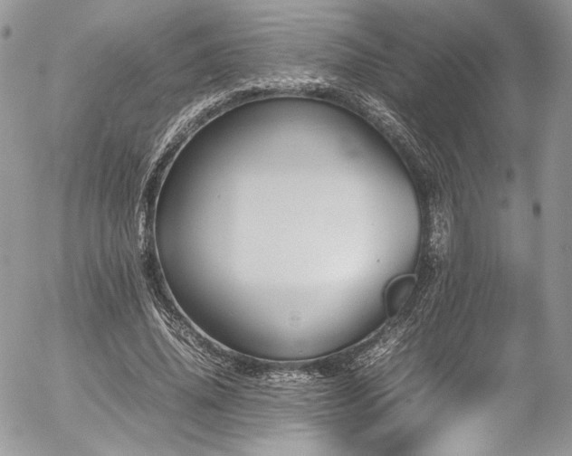 X0000054370636200507291048