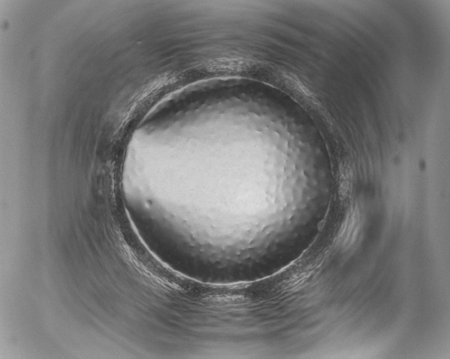 X0000054370637200507291048