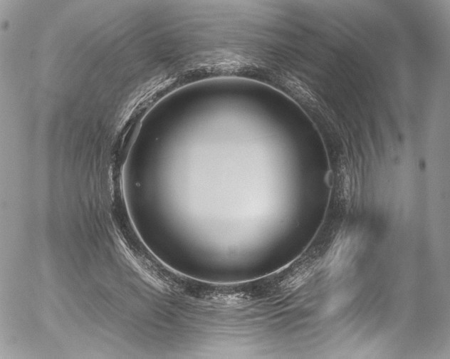 X0000054370638200507291048