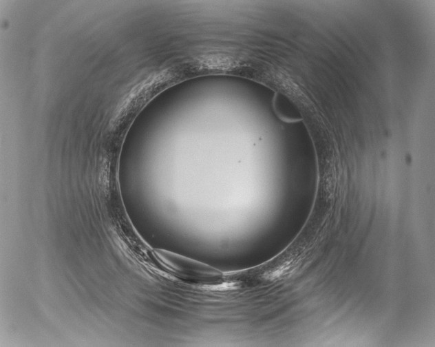 X0000054370639200507291048