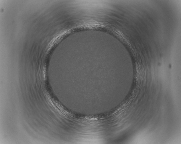 X0000054370640200507291048