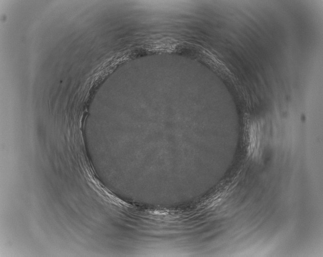 X0000054370641200507291048