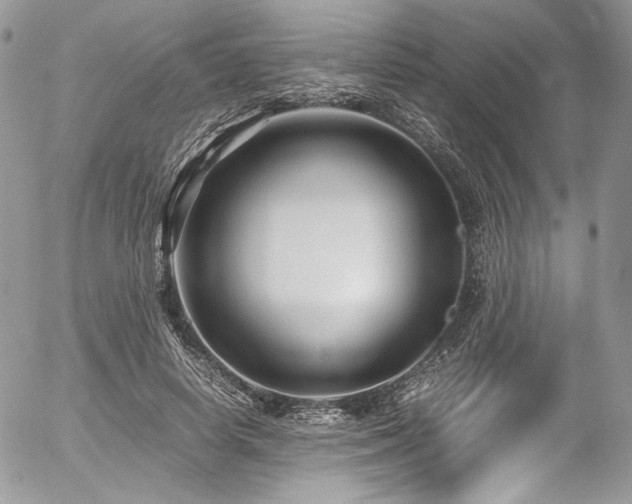 X0000054370642200507291048