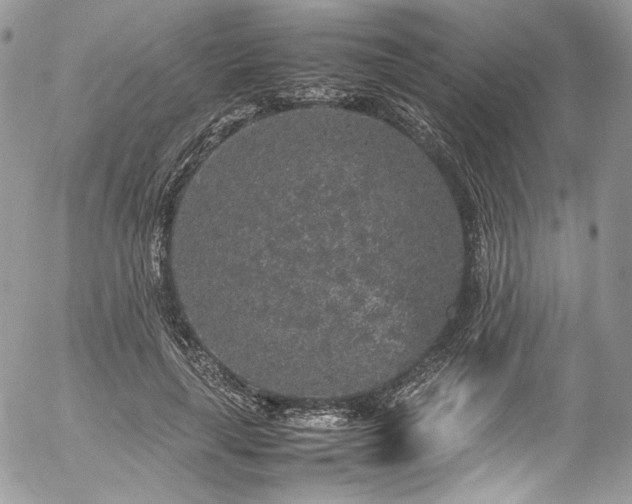 X0000054370643200507291048