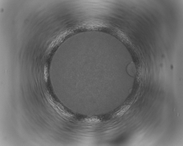 X0000054370644200507291048