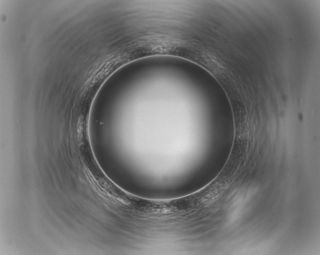 X0000054370646200507291048