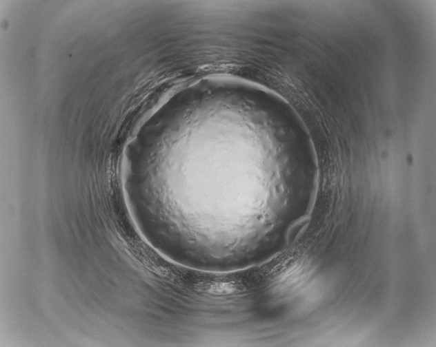 X0000054370647200507291048