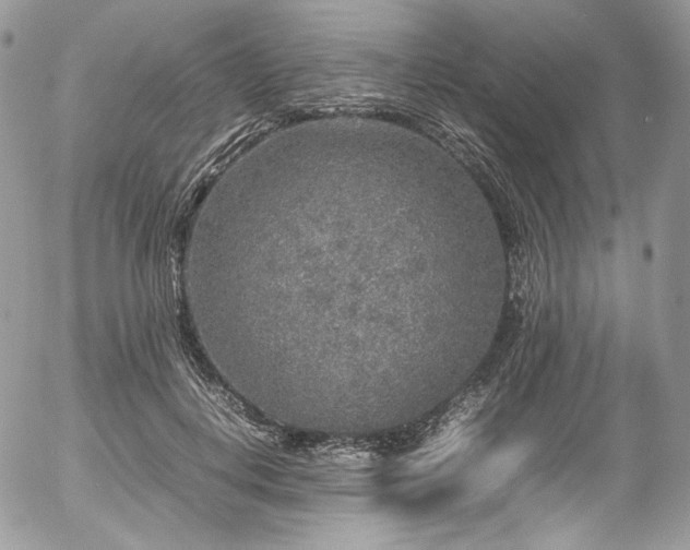 X0000054370648200507291048