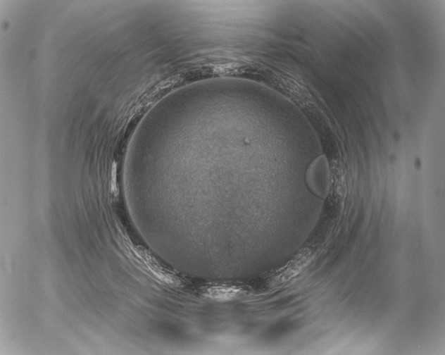 X0000054370650200507291048