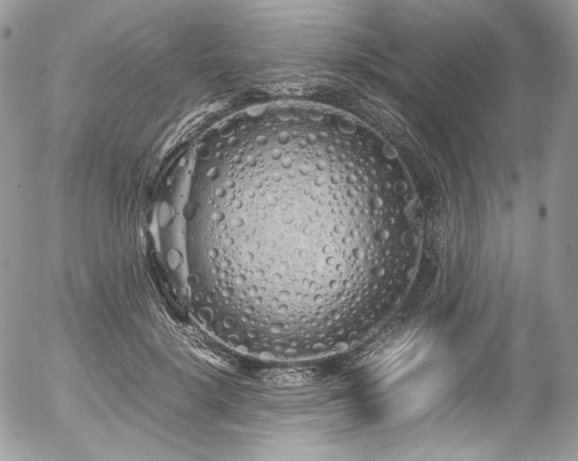 X0000054370652200507291048