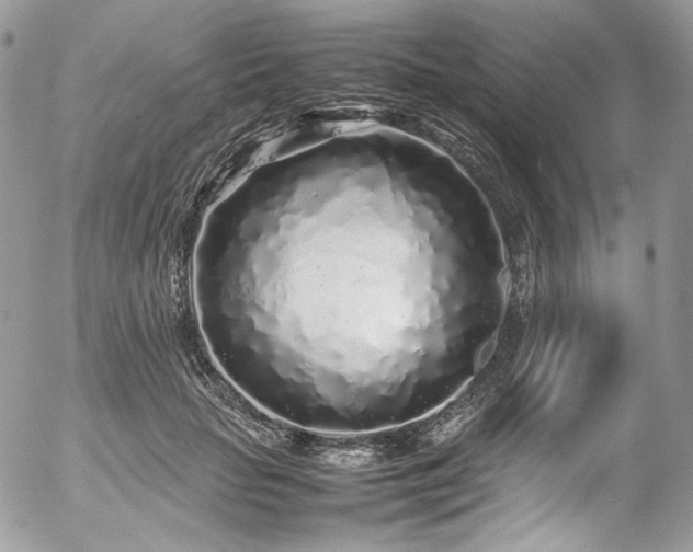 X0000054370653200507291048